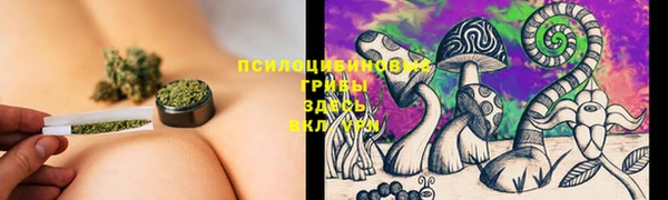 прущая мука Алзамай