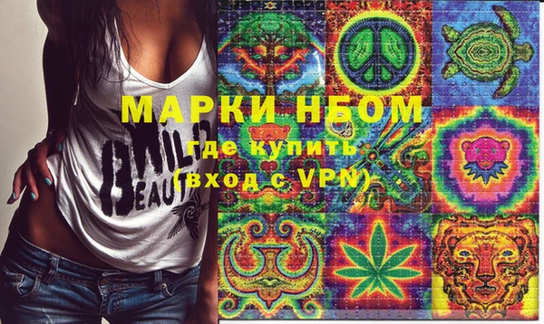 мдпв Абаза