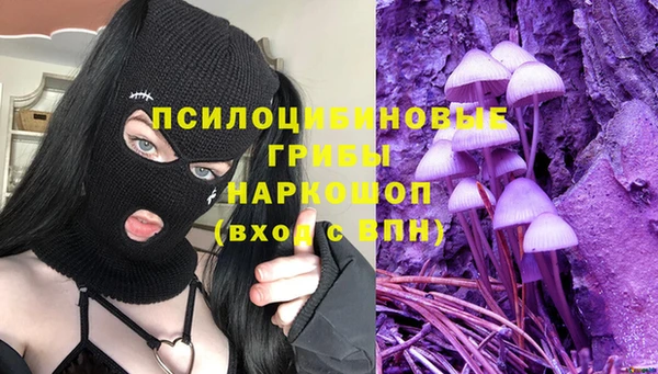 каннабис Алексеевка