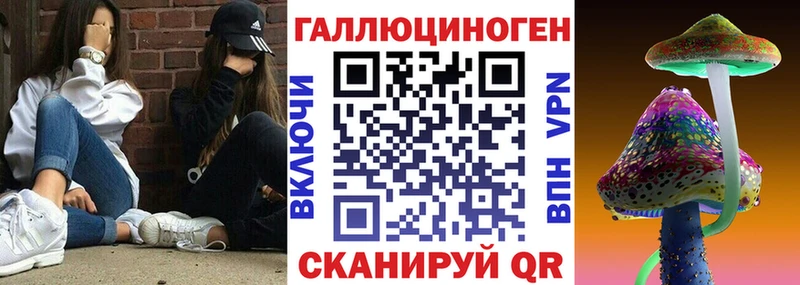 Псилоцибиновые грибы GOLDEN TEACHER  Николаевск-на-Амуре 